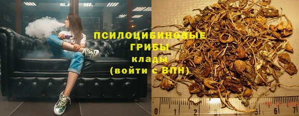 ALPHA PVP Нязепетровск